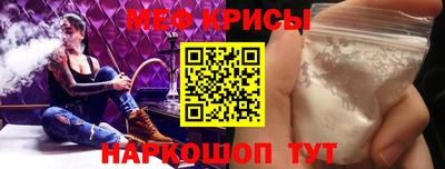 ешки Кингисепп