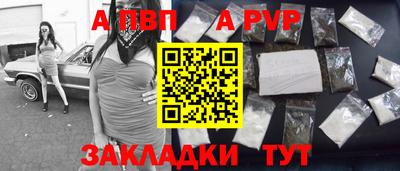 ешки Кингисепп