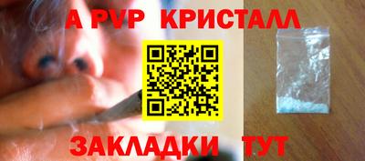 ешки Кингисепп