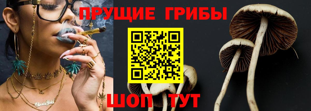 Галлюциногенные грибы Magic Shrooms  Вход с VPN  купить закладку  Галлюциногенные грибы Psilocybine cubensis  Кимры 