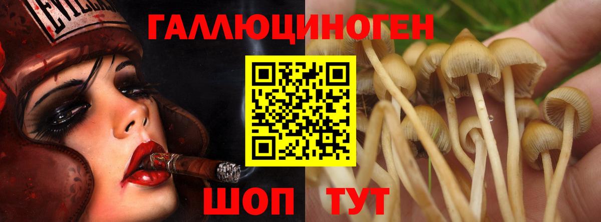 Псилоцибиновые грибы прущие грибы Кимры